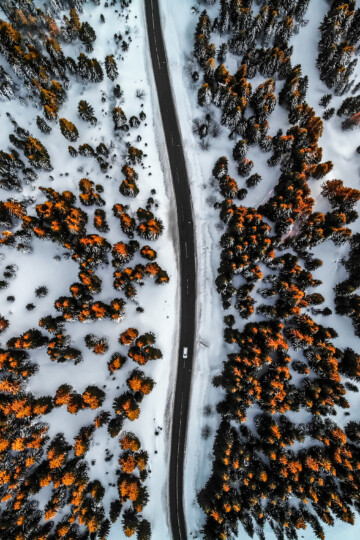Wald Straße