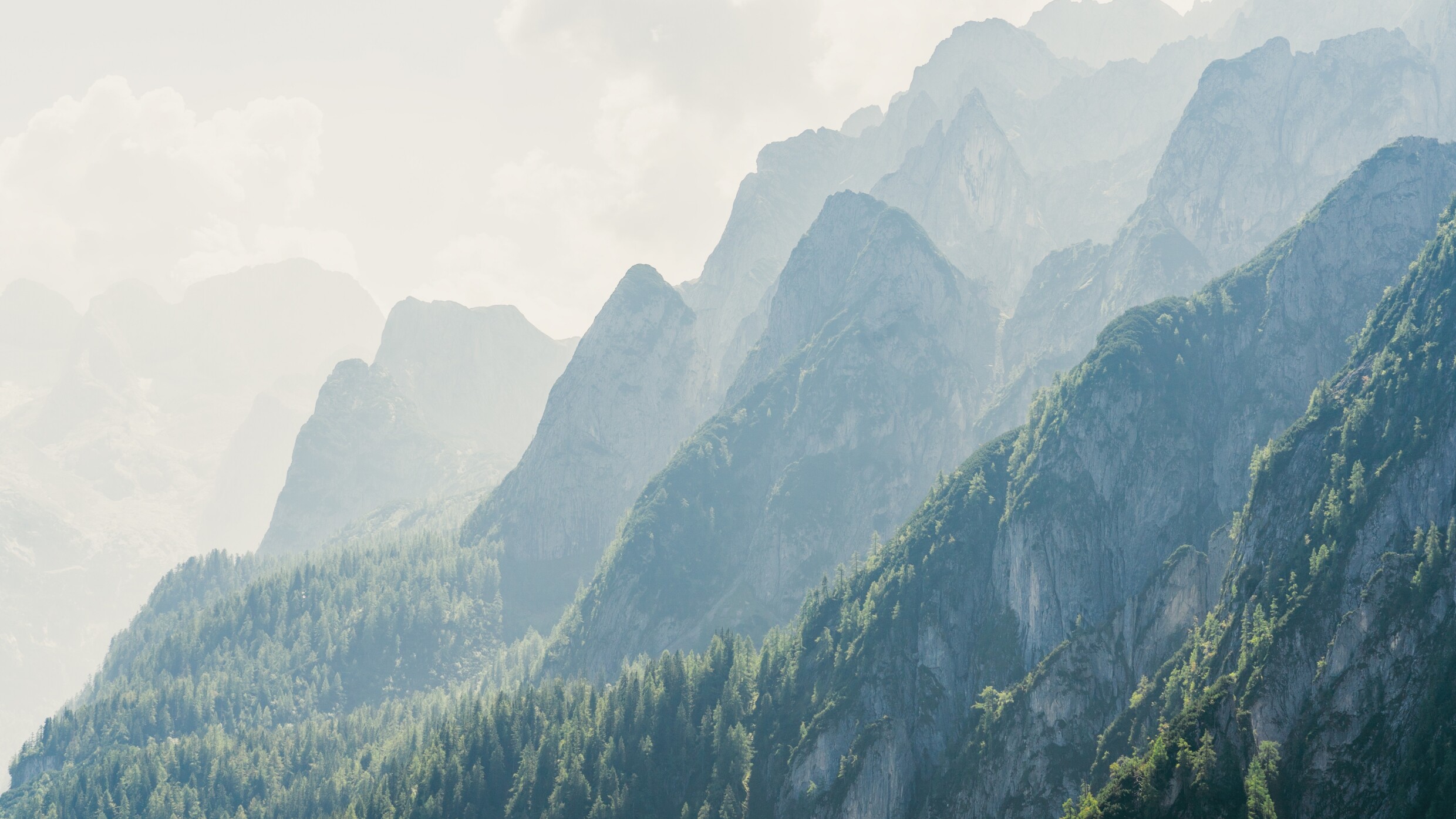 Mountains in the mist