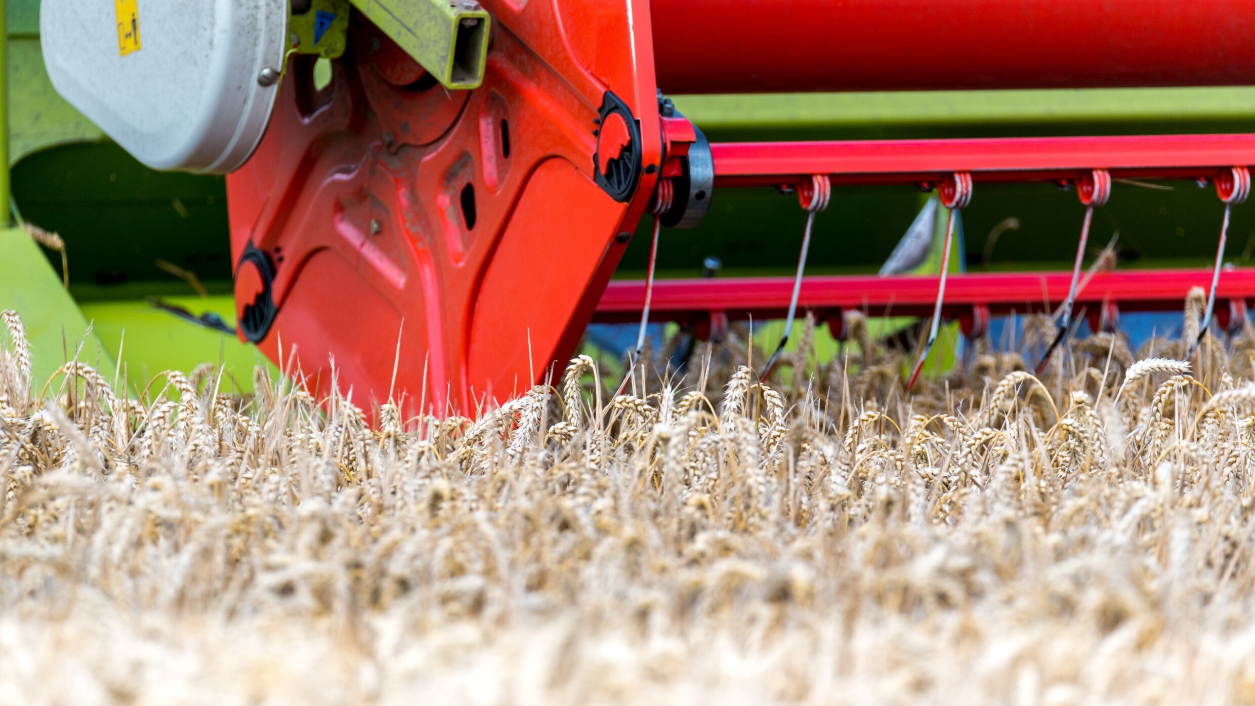 Harvester in a field