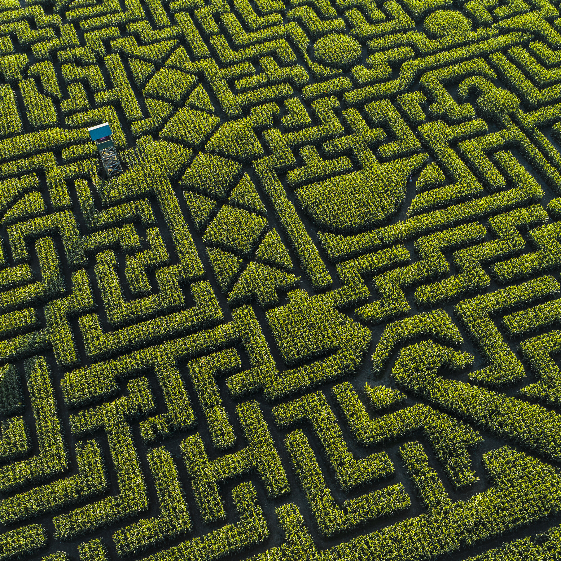 Maze of hedges with tower in the middle