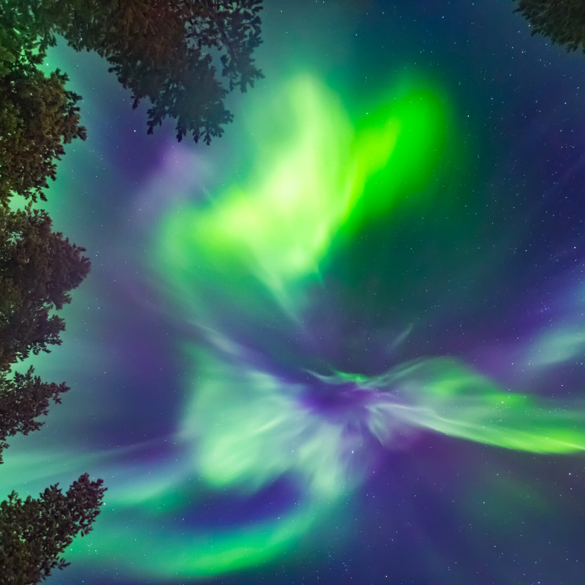 Aurora photographed from below