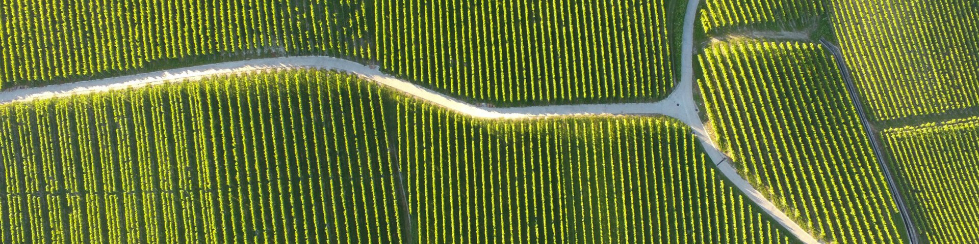 Fields from a bird's eye view