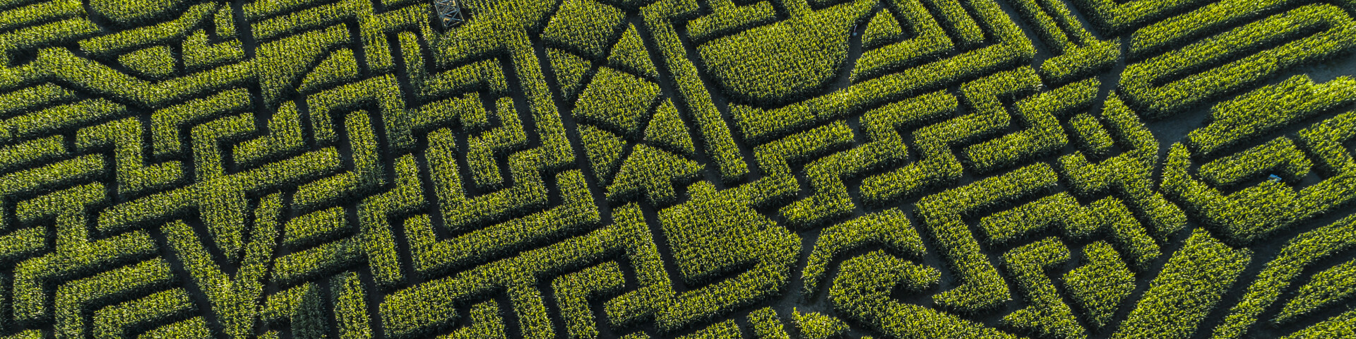 Maze of hedges with tower in the middle