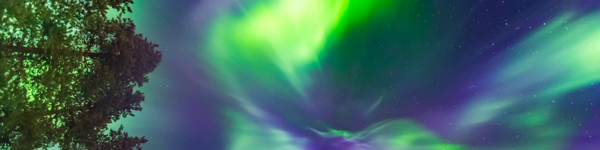 Aurora photographed from below